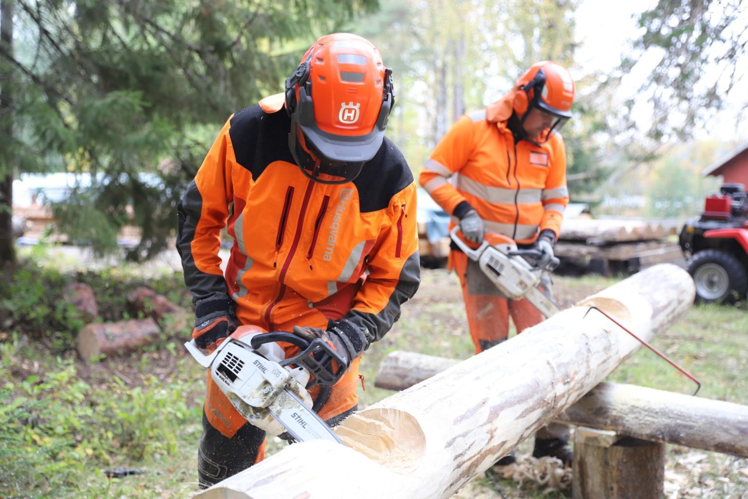 Metsäalan perustutkinto